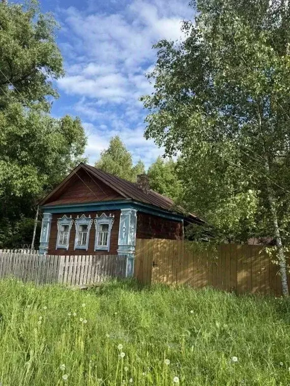Дом в Рязанская область, Касимовский муниципальный округ, д. Новая 230 ... - Фото 2