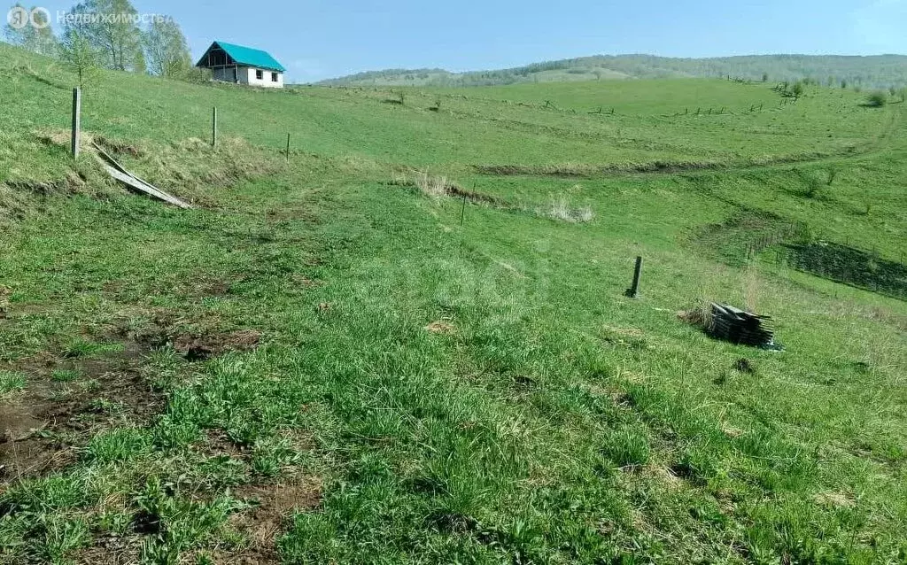 Участок в Майминский район, село Кызыл-Озек (94 м) - Фото 1