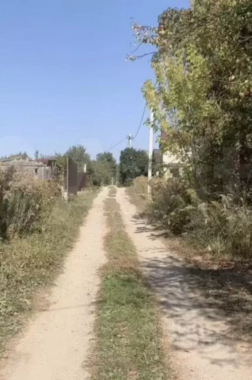 Участок в Брянская область, Брянский район, Нетьинское с/пос, ... - Фото 1