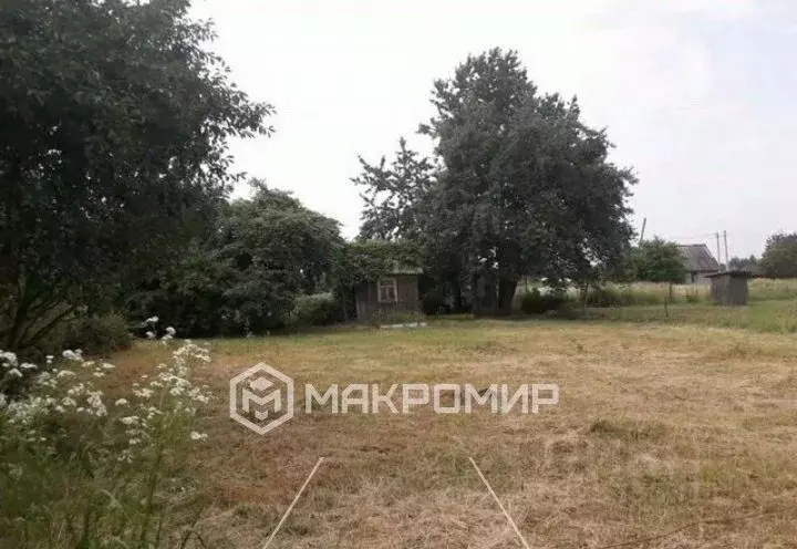 Участок в Брянская область, Брянский район, Добрунское с/пос, д. ... - Фото 2