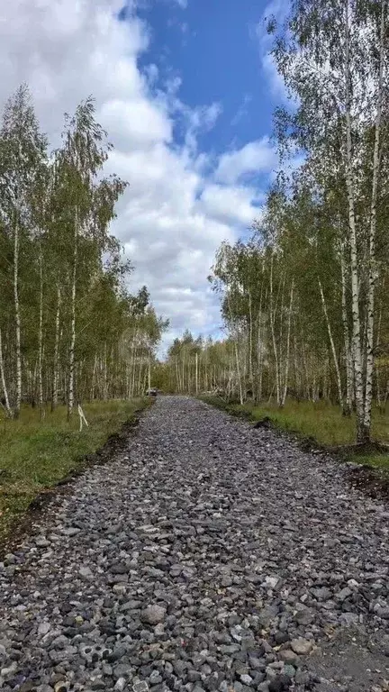 Участок в Воронежская область, Новоусманский район, с. Бабяково ул. ... - Фото 1