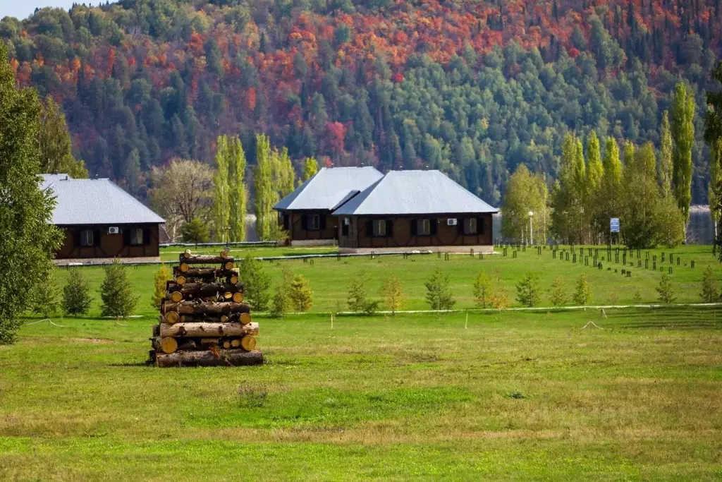 Дом в Башкортостан, Караидельский район, Кирзинский сельсовет, с. ... - Фото 0