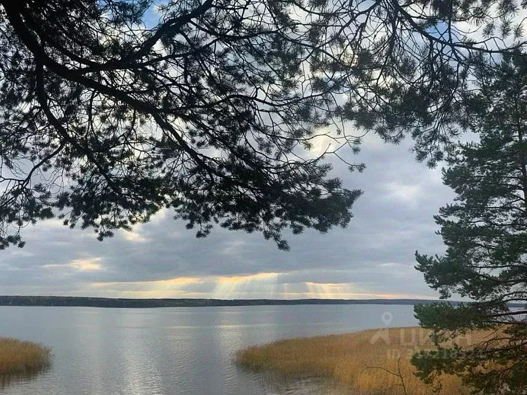 Участок в Ленинградская область, Приозерский район, Громовское с/пос, ... - Фото 0