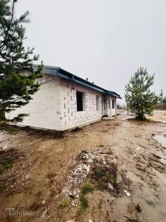 Дом в Нижегородская область, с. Безводное  (104 м) - Фото 1