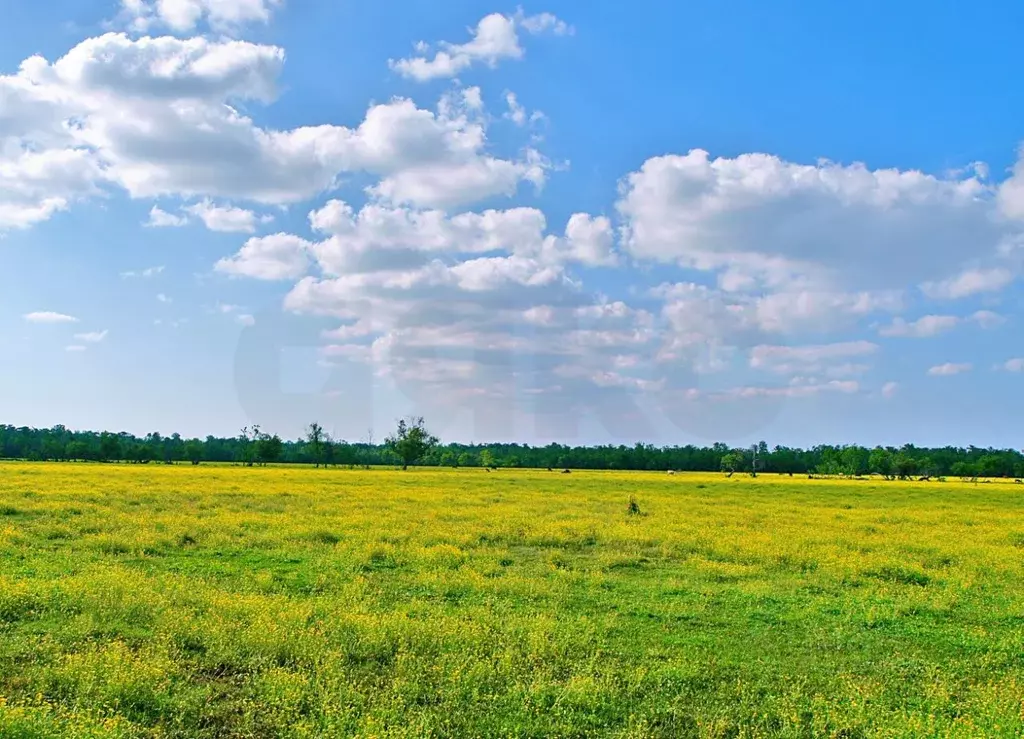 Участок в Тульская область, Тула городской округ, д. Страхово  (1000.0 ... - Фото 1