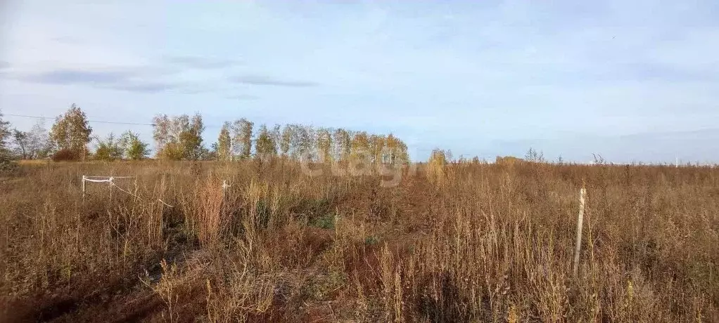 Участок в Ульяновская область, Ульяновск Московское ш. (9.0 сот.) - Фото 1