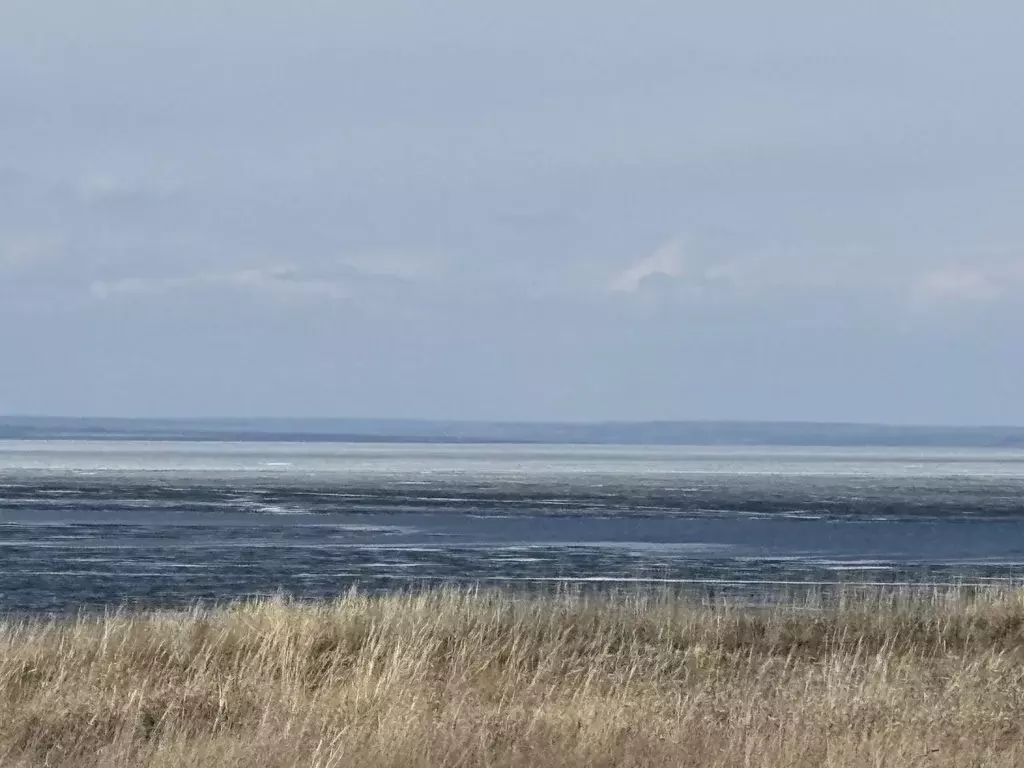 Участок в Самарская область, Ставропольский район, с. Ягодное ул. ... - Фото 1
