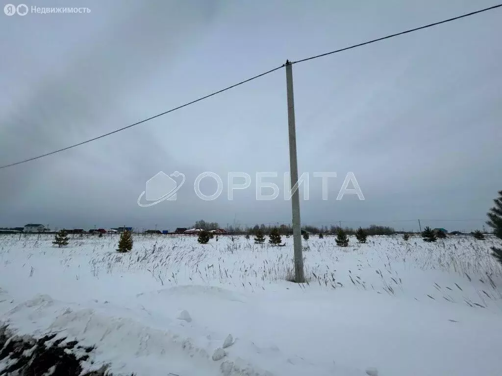 Участок в Тюменский район, село Борки (5.34 м) - Фото 0