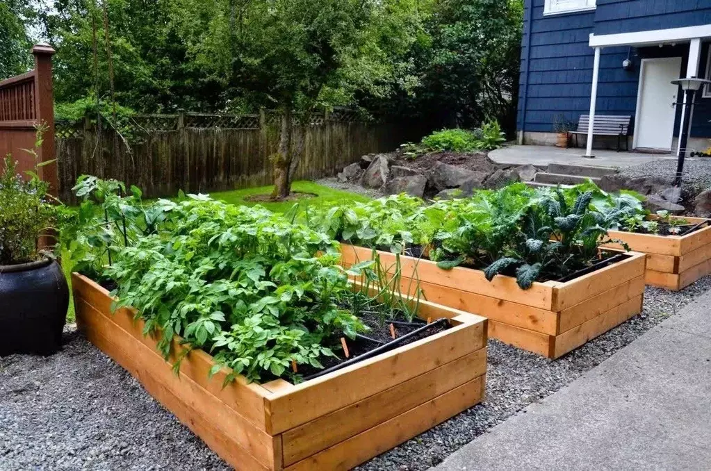 Участок в Новосибирская область, Новосибирск Кубановская ул., 85 (7.98 ... - Фото 1