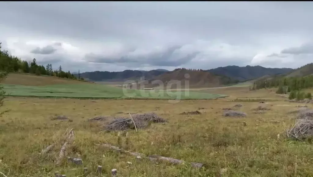 Участок в Алтай, Усть-Канский район, с. Яконур  (500.0 сот.) - Фото 1