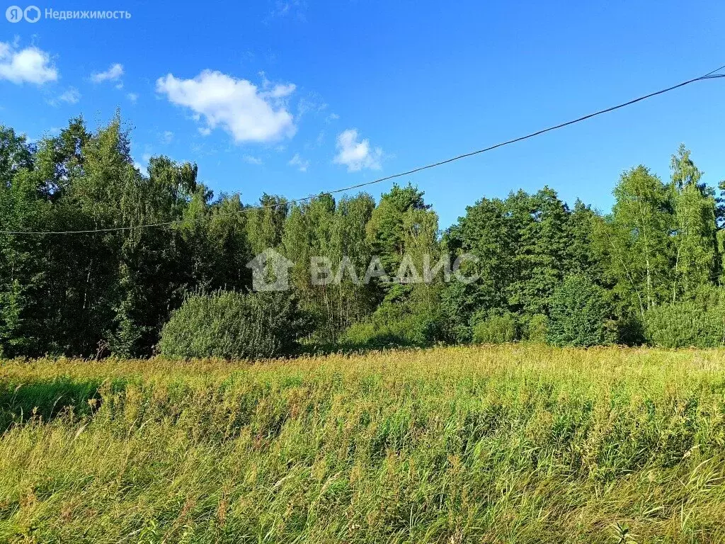 Участок в Московская область, Раменский муниципальный округ, КП Ёлкино ... - Фото 1