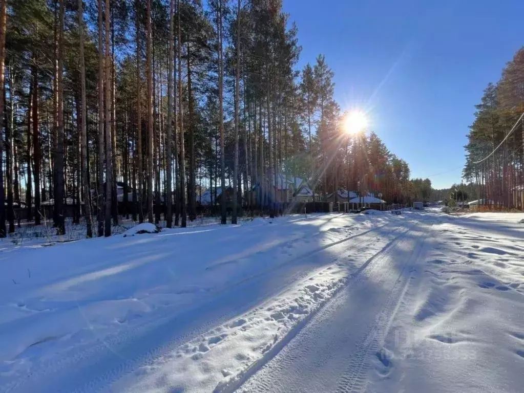 Участок в Свердловская область, Сысерть Родниковая ул. (20.0 сот.) - Фото 0