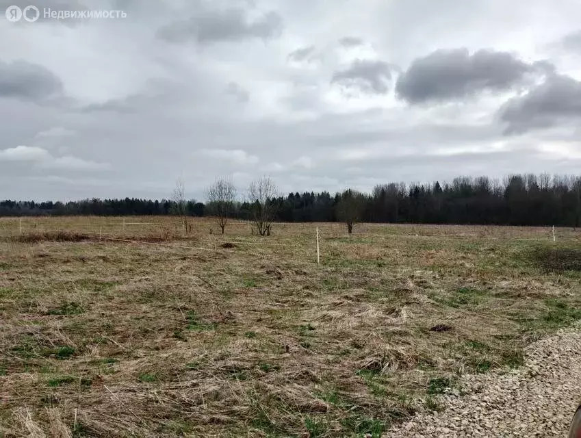 Участок в Ленинградская область, Гатчинский муниципальный округ, ... - Фото 0