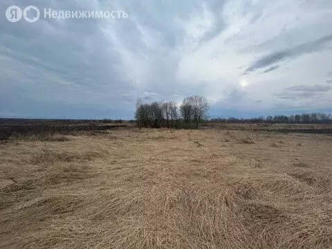 Участок в Брянский район, село Глинищево (10.37 м) - Фото 0