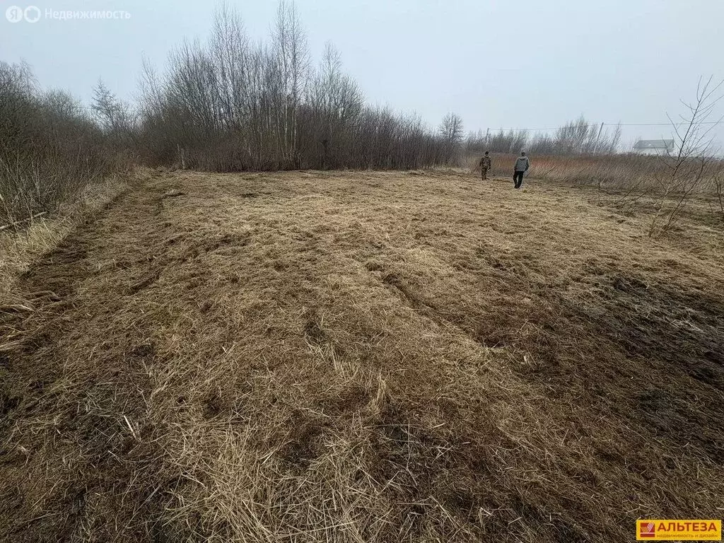 Участок в Калининградская область, Зеленоградский муниципальный округ, ... - Фото 2