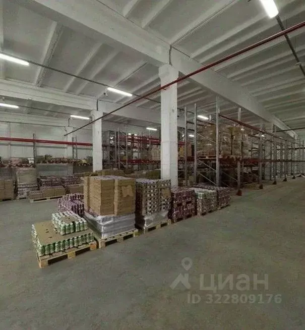 Склад в Санкт-Петербург просп. Непокоренных, 63И (657 м) - Фото 1