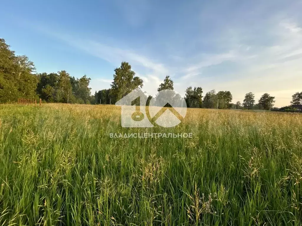 Участок 15 сот. (СНТ, ДНП) - Фото 0