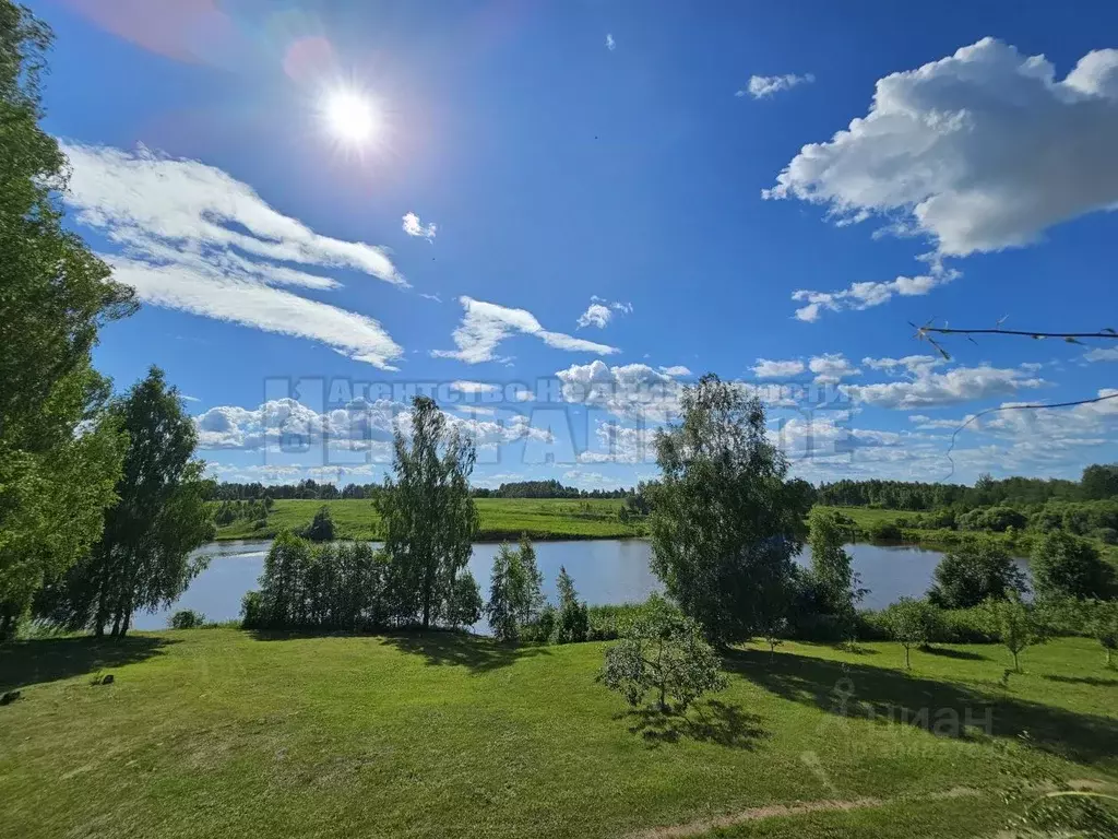 Производственное помещение в Смоленская область, Починковский ... - Фото 0