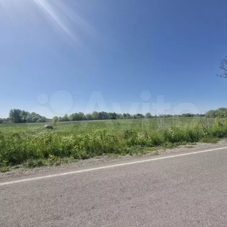 Участок 8 га (СНТ, ДНП) - Фото 1
