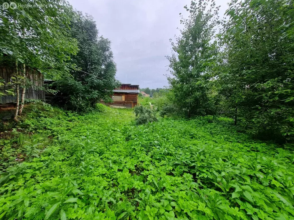 Дом в Кировград, улица Льва Толстого, 16 (27 м) - Фото 1