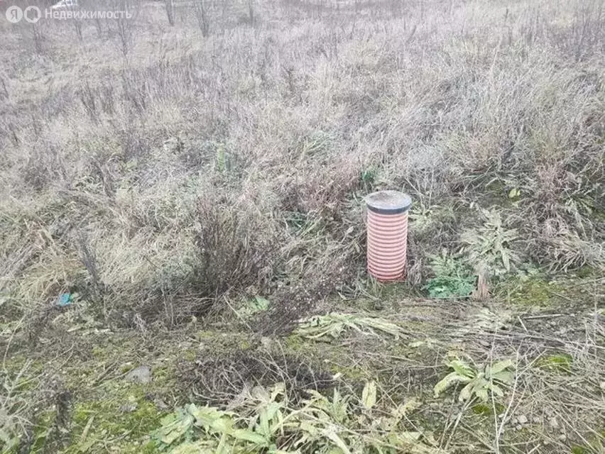 Участок в Гостилицкое сельское поселение, садоводческое некоммерческое ... - Фото 1