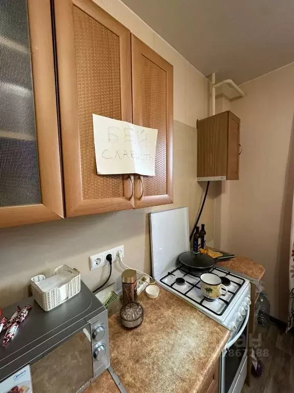 1-к кв. Псковская область, Псковский район, Завеличенская волость, д. ... - Фото 2