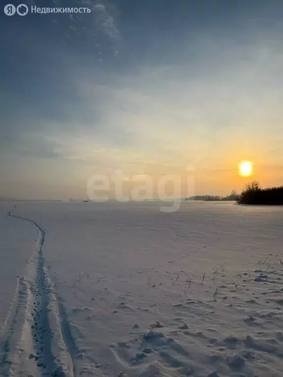 Участок в Ишимбайский район, село Ишеево (2530 м) - Фото 2