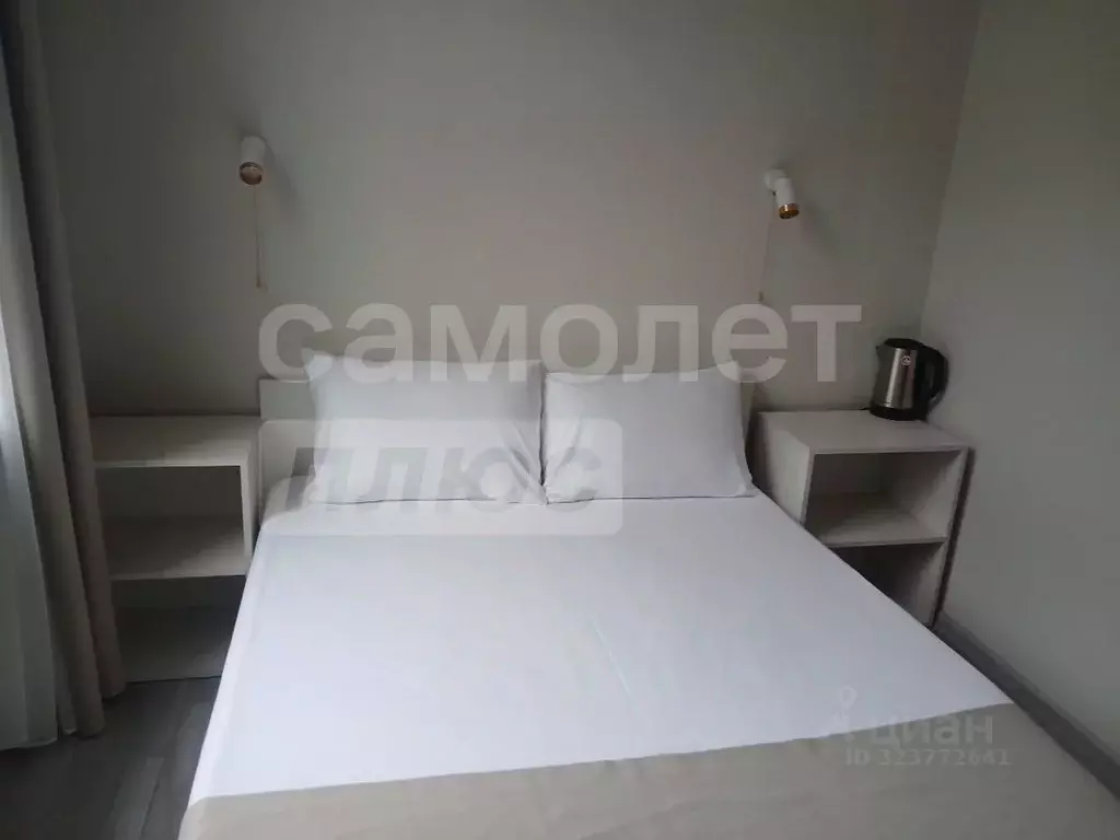 1-к кв. Крым, Ялта муниципальный округ, Симеиз пгт ул. Владимира ... - Фото 2