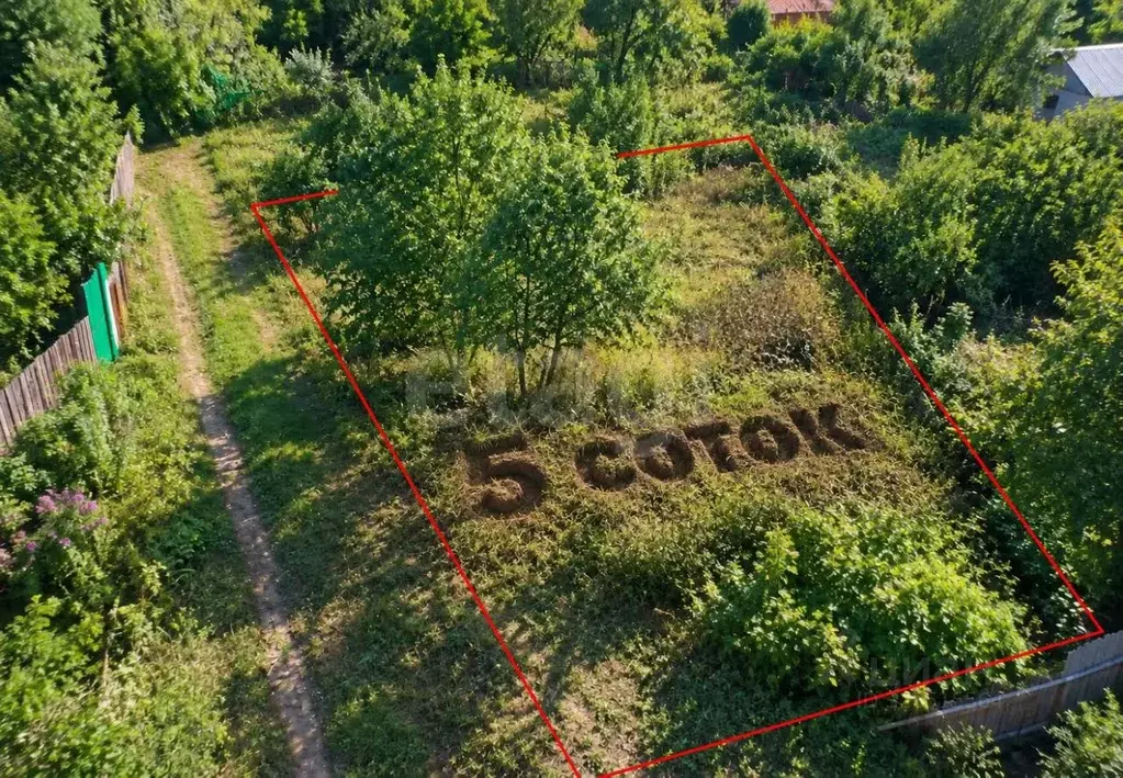 Участок в Белгородская область, Строитель Яковлевский городской округ, ... - Фото 1