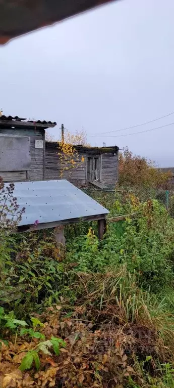 Помещение свободного назначения в Вологодская область, Шекснинский ... - Фото 1