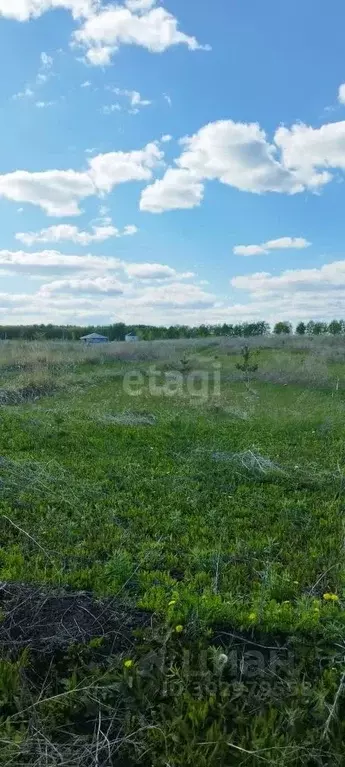 Участок в Ульяновская область, Ульяновск городской округ, с. Луговое ... - Фото 0