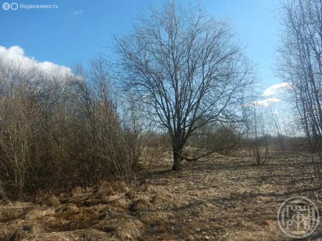 Участок в Красное Село, Красногородская улица, 26 (12 м) - Фото 2