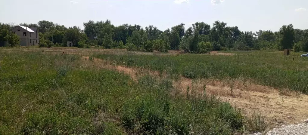 Участок в Волгоградская область, Краснослободск Среднеахтубинский ... - Фото 2