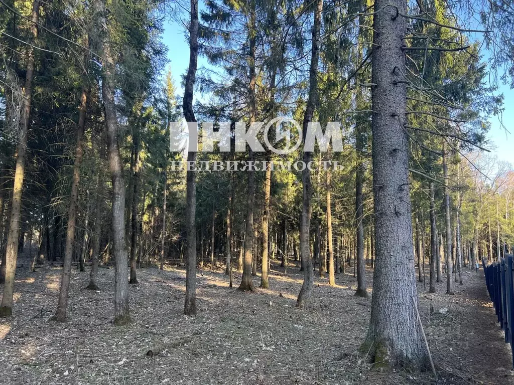 Участок в Московская область, Мытищи городской округ, д. Голенищево 67 ... - Фото 1