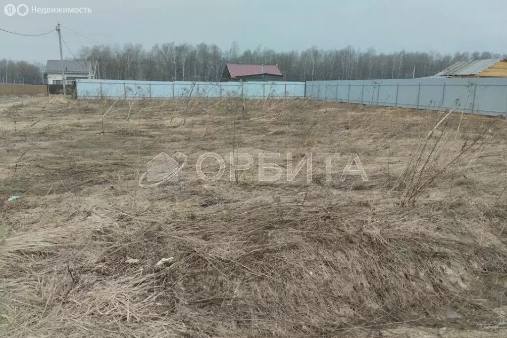 Участок в Тюмень, садовое товарищество Якорь, Лимонная улица, 541 (6 ... - Фото 0