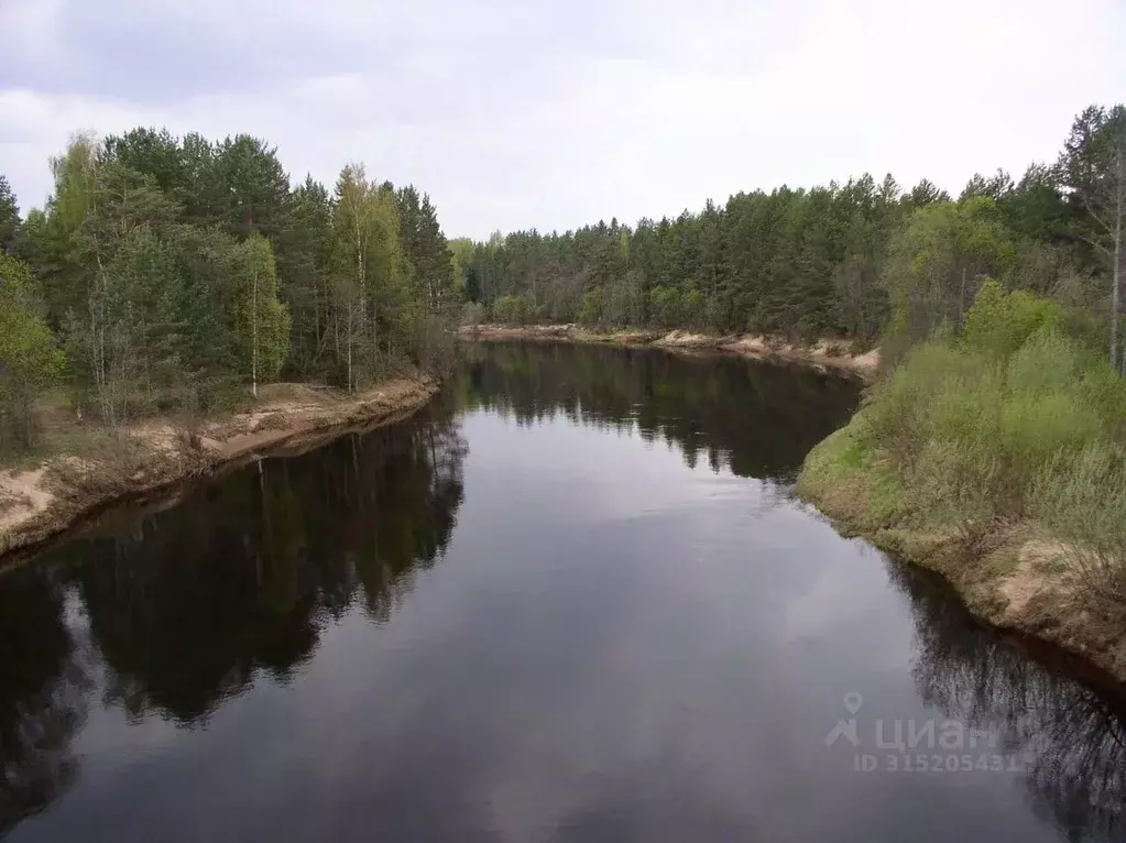 Участок в Вологодская область, Кадуйский муниципальный округ, д. ... - Фото 1