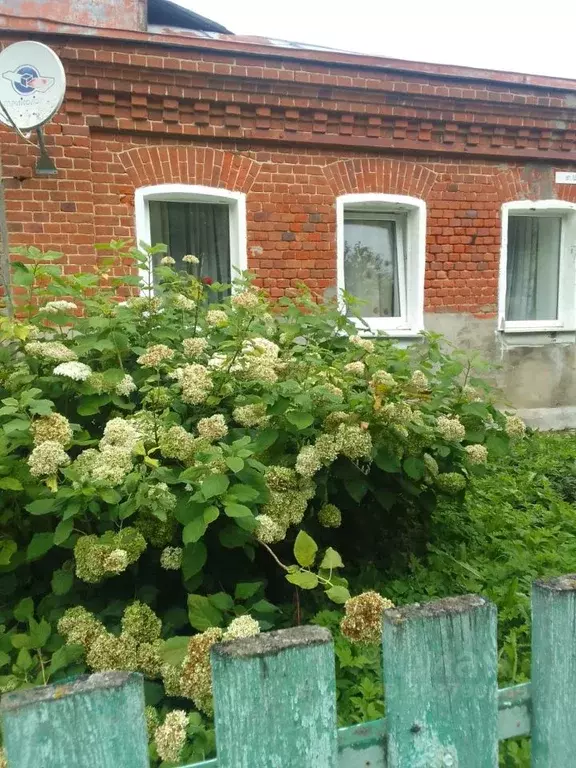 Дом в Владимирская область, Суздальский район, Новоалександровское ... - Фото 0