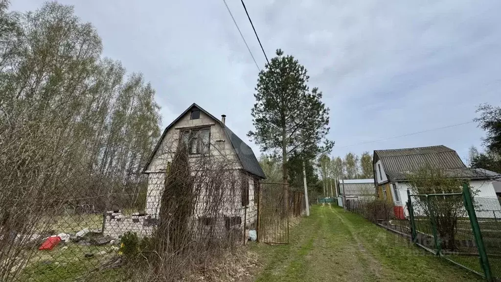 Дом в Костромская область, Костромской район, Бакшеевское с/пос, ... - Фото 2