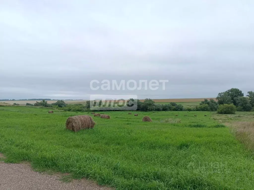 Участок в Башкортостан, Стерлитамакский район, Максимовский сельсовет, ... - Фото 0