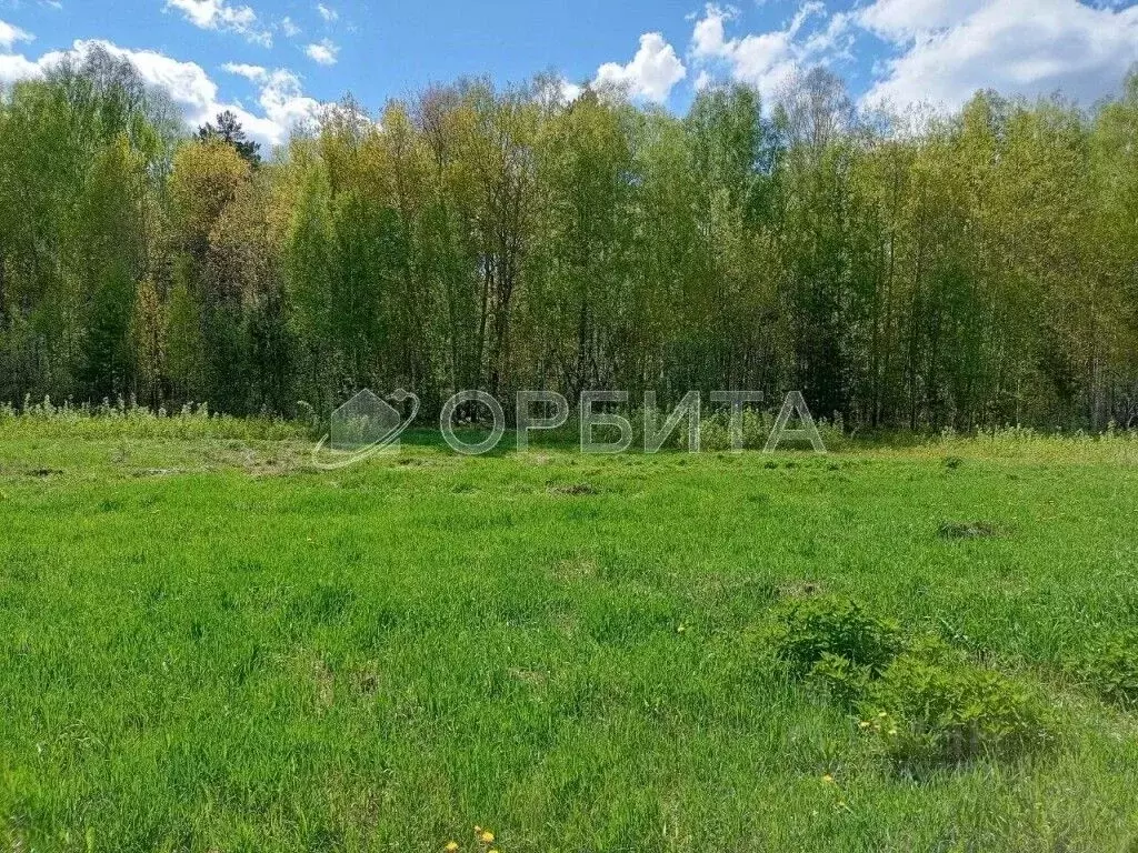 Участок в Тюменская область, Тюменский район, с. Кулига, Сказка кп  ... - Фото 0