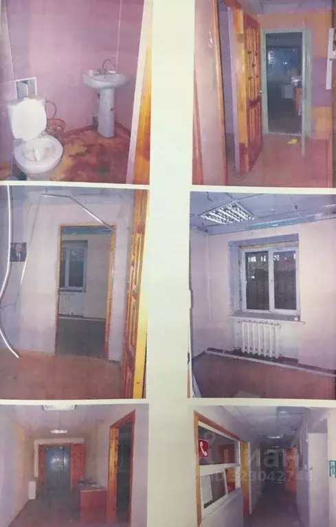 Помещение свободного назначения в Липецкая область, Липецк ул. ... - Фото 1