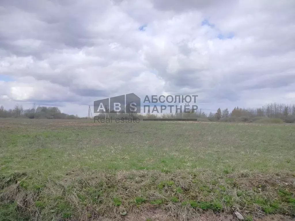 Участок в Новгородская область, Новгородский район, Ракомское с/пос, ... - Фото 1