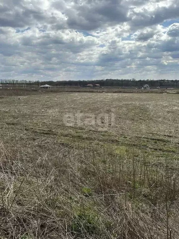 Участок в Белгородская область, Ракитное городское поселение, Ракитное ... - Фото 1