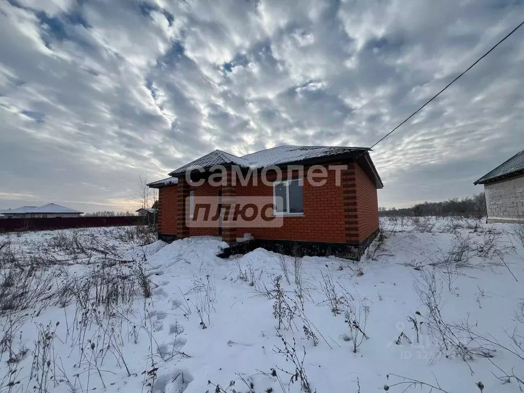 Дом в Липецкая область, Добровский муниципальный округ, с. Капитанщино ... - Фото 1