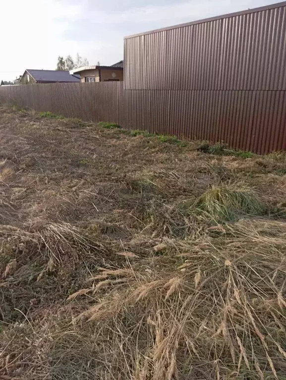 Участок в Московская область, Раменский муниципальный округ, 50164 ... - Фото 2