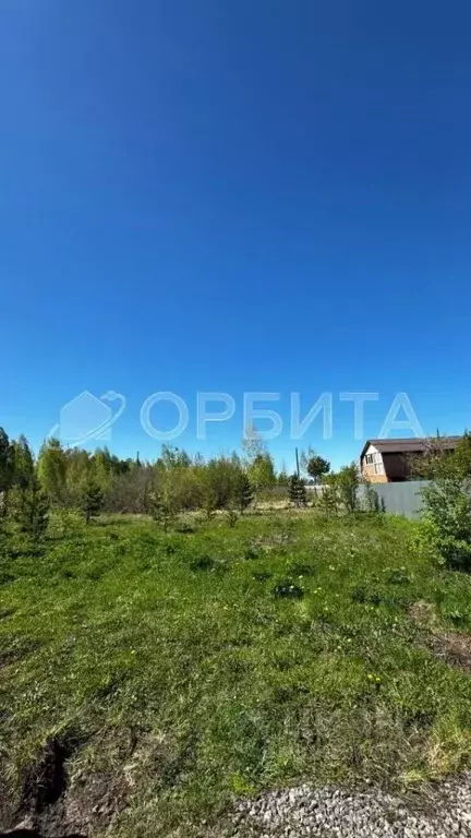 Участок в Тюменская область, Тюменский район, Подъем СНТ ул. 2-я, 93 ... - Фото 1