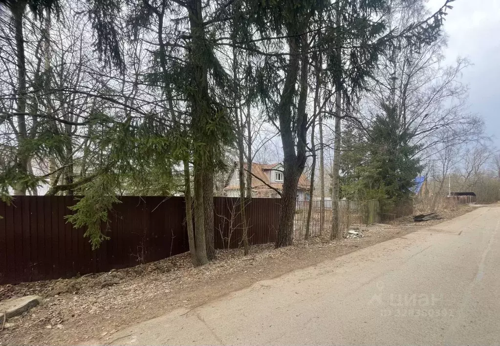 Участок в Санкт-Петербург, Санкт-Петербург, Ломоносов Ивановская ул., ... - Фото 2