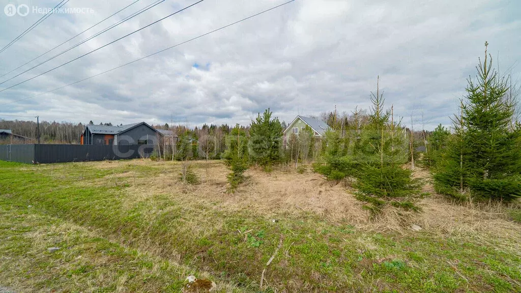 Участок в Наро-Фоминский городской округ, территория Ташировское, 1159 ... - Фото 2