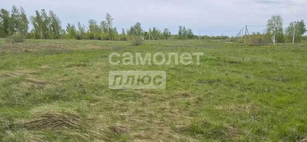 Участок в Челябинская область, Красноармейский район, Козыревское ... - Фото 0