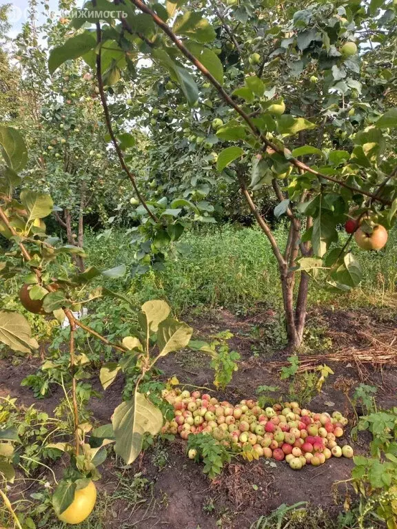 Дом в Еманжелинск, Северная улица, 35 (72 м) - Фото 1